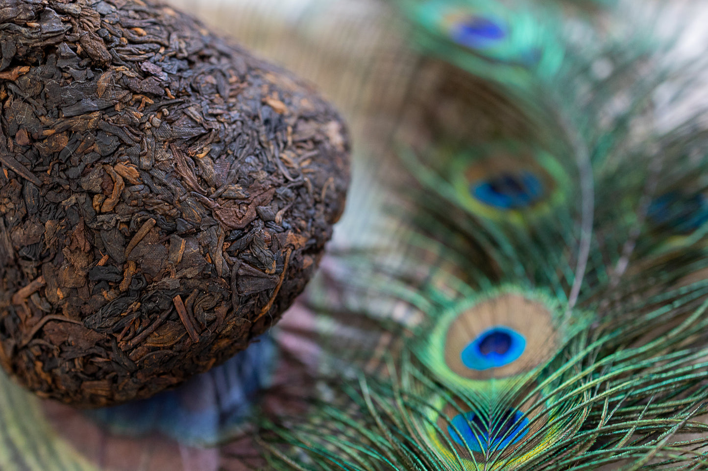 2014 Theasophie 'Peacock Tuo'