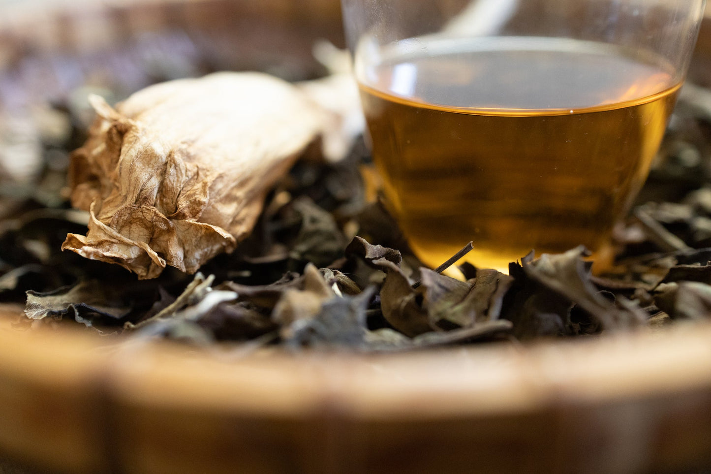 2022年春季Theasophie《芒景月光》